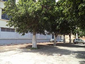 2018 05 VOYAGE A ORAN EN MAI 2018 (104)